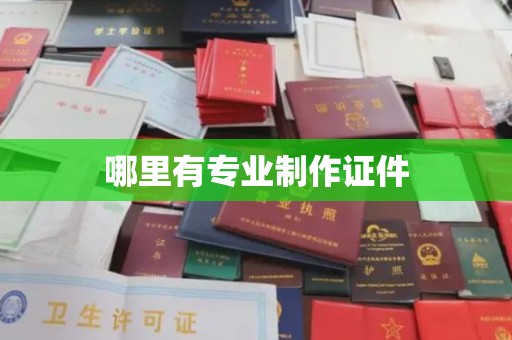 连云港哪里有专业制作证件