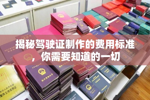 西工揭秘驾驶证制作的费用标准，你需要知道的一切