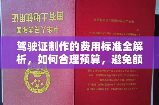 阿拉尔驾驶证制作的费用标准全解析，如何合理预算，避免额外支出